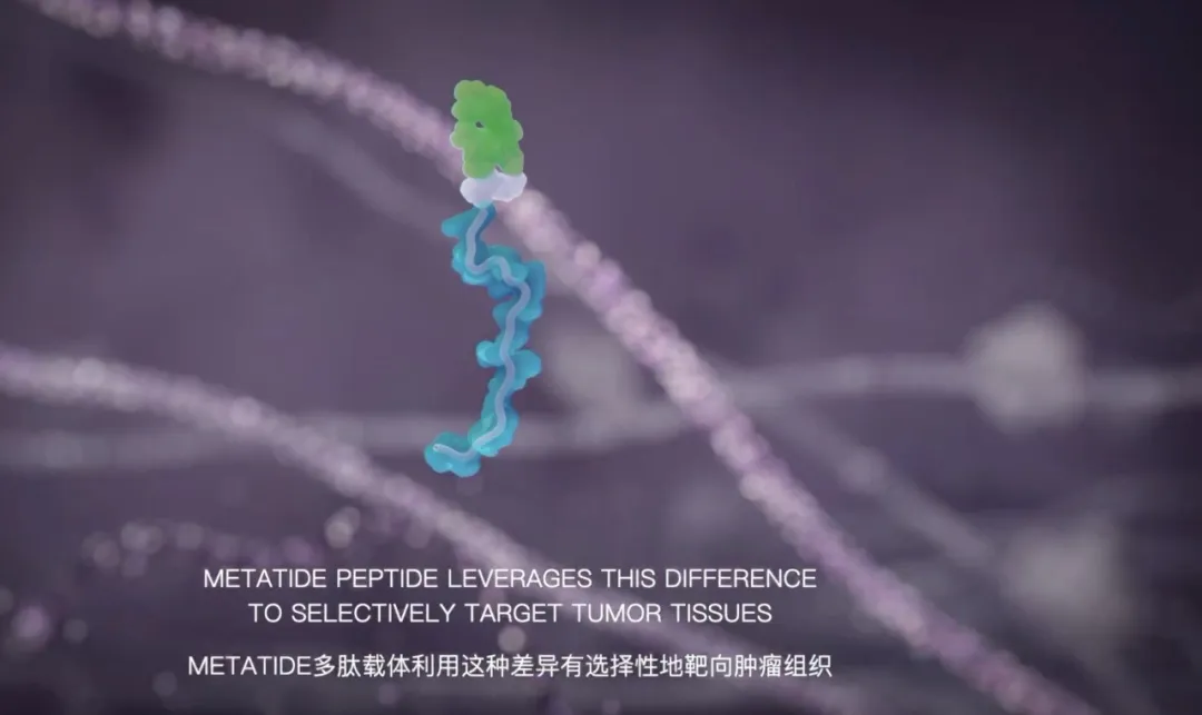 36Kr Interview: N1 Life Opens New Path in R&D, Upgrades "Old Drugs" with Peptide Carrier